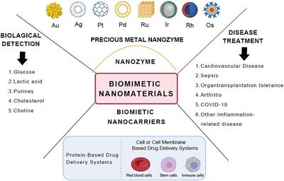 Latest advances in biomimetic nanomaterials for diagnosis and treatment of cardiovascular disease